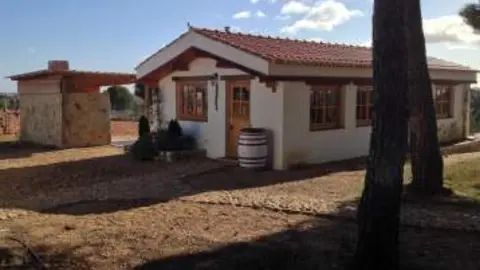 viña del abuelo de toro