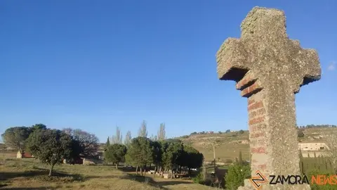 Zamora celebra este domingo la Romería del Cristo de Valderrey (2)