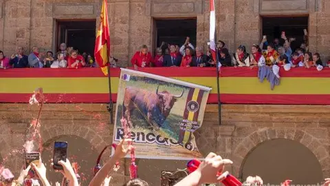 toro enmaromao interbenavente