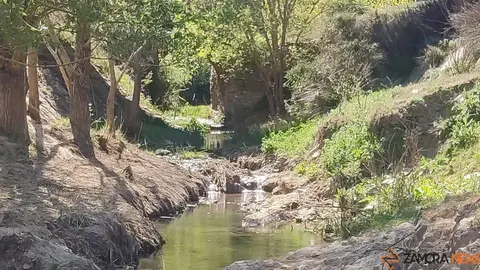inauguración gabinete curiosidades Alhóndiga