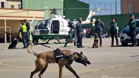 Exhibición de la Guardia Civil  en el colegio Virgen de la Vega de Benavente