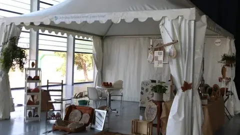 Feria Mobiliza _6