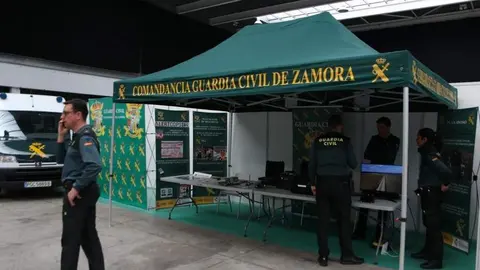 Feria Mobiliza _11