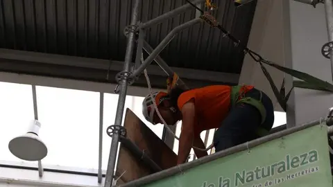Feria Mobiliza _14