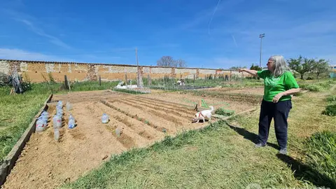Huertos urbanos Benavente