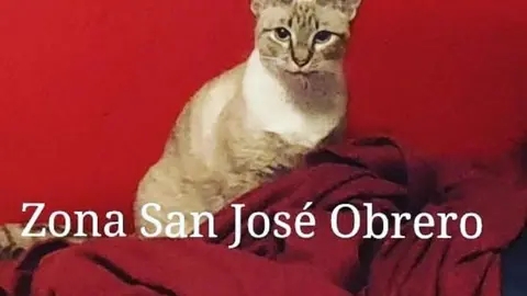 WhatsApp Image 2023-04-23 at 15.22.23