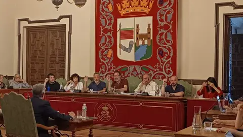 Pleno ayto Alcalde en funciones