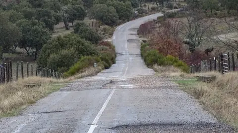 Estado de la ZA-P-2226 que une el camino de Tudera y Argañín con Badilla de Sayago