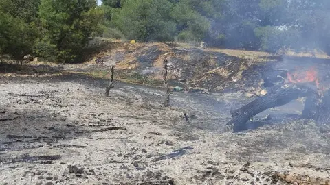 Llamas en el camino de Los Bardales. Imagen cedida a Zamora News
