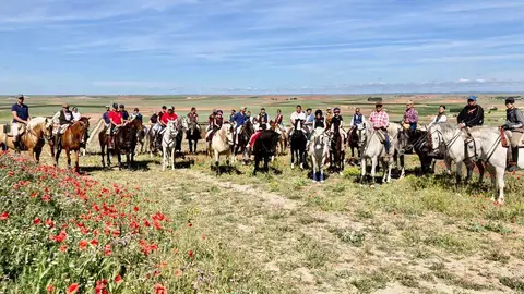 Ruta a caballo en Torres de Carrizal
