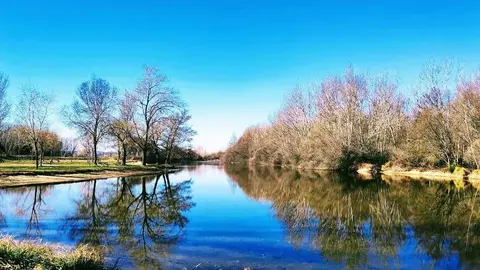 WhatsApp Image 2023-05-08 at 12.27.25 (2)