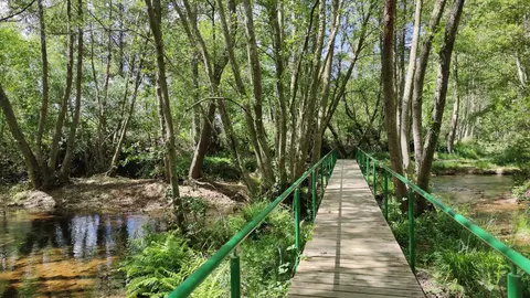 WhatsApp Image 2023-05-08 at 12.27.28