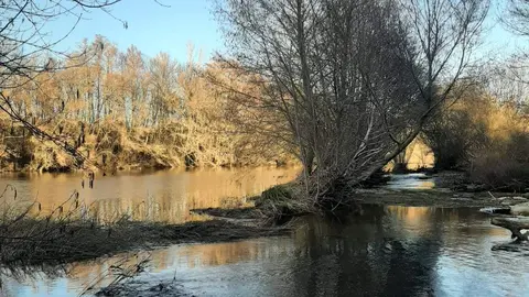 WhatsApp Image 2023-05-08 at 12.54.58