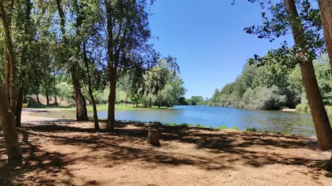 WhatsApp Image 2023-05-08 at 12.55.21