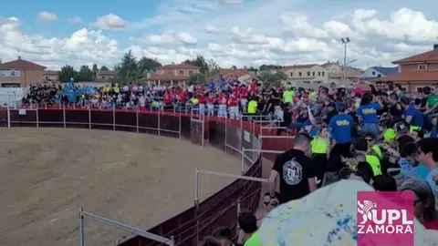 concurso de cortes Morales del vino Foto de UPL