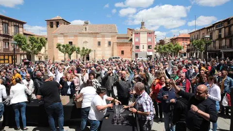 Toro brinda por el día del Vino con Denominación de Origen