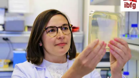 Cristina Viéitez, investigadora del Instituto de Biología Funcional y Genómica (IBFG) de Salamanca