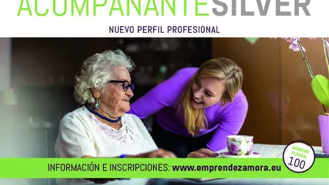 Cartel Curso Acompañante Silver