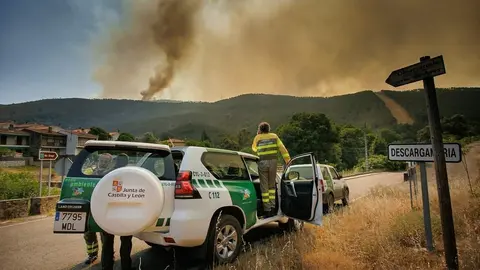 incendio, medios de cyl