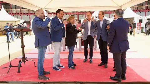 Feria del Vino de Toro (11)