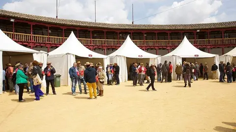 Feria del Vino de Toro (15)