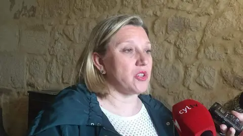 La consejera de Familia e Igualdad de Oportunidades de la Junta, Isabel Blanco