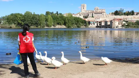 basuraleza cruz roja