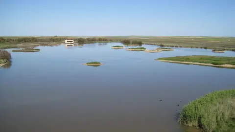 Reserva natural Lagunas de Villafáfila
