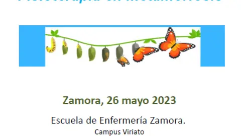 Cartel de las XXXI Jornadas de Fisioterapia en Atención Primaria en Castilla y León