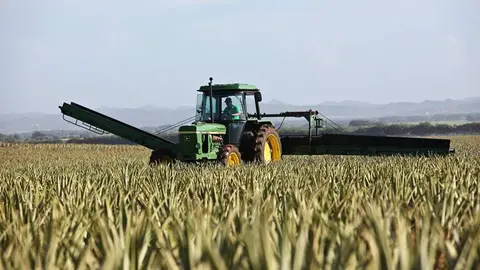Agricultor