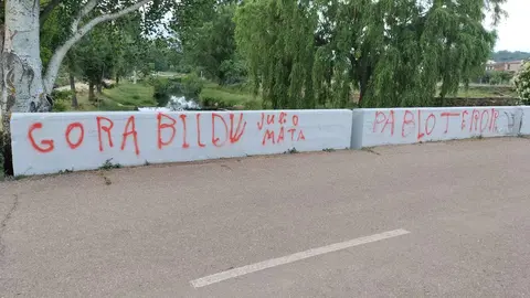 Pintadas Pobladura de Aliste