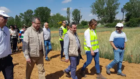 campos de ensayo itacyl