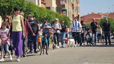 Marcha solidaria vía Interbenavente.es