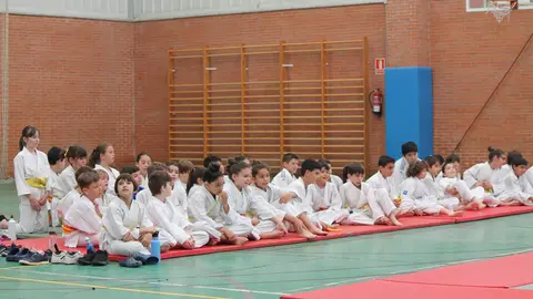Judokas
