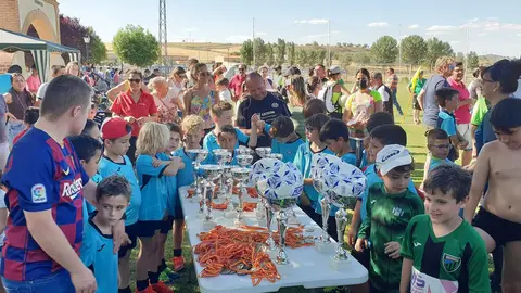 Campeonato Villa de Venialbo