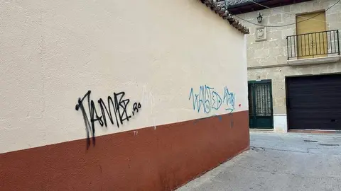 Toro_3
