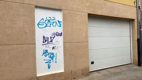 Toro_4