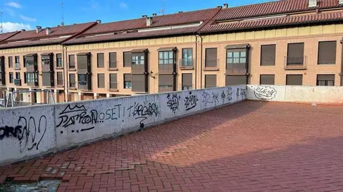 Toro_5