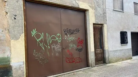 Toro_6