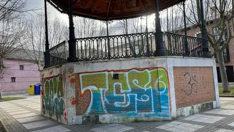 Toro_8