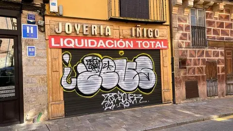 Toro_9