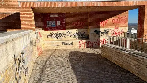 Toro_11