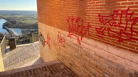 Toro_12