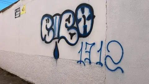 Toro_14