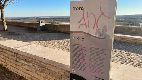 Toro_15