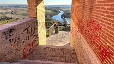 Grafiti Toro