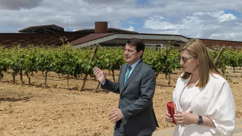 Exposición 'Tipologías y Paradigmas' en Bodegas Portia