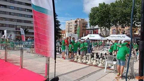 Ajedrez Zamora_3