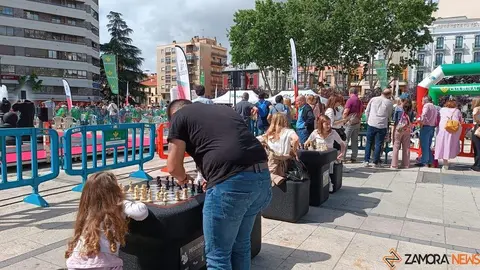 Ajedrez Zamora_8