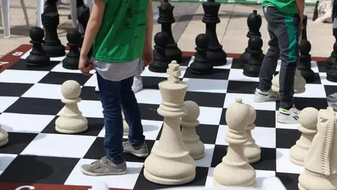 Ajedrez Zamora_19